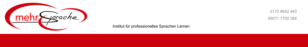 09071 7700 388 0170 8642 440 Institut fr professionelles Sprachen Lernen